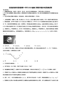 安徽省亳州市蒙城县第一中学2026届高三第四次模拟考试物理试卷含解析