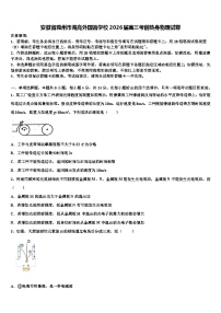 安徽省滁州市海亮外国语学校2026届高三考前热身物理试卷含解析