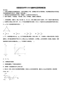 安徽省定远中学2026届高考仿真卷物理试题含解析