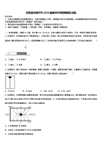 安徽省凤阳中学2026届高考冲刺物理模拟试题含解析