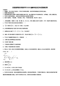 安徽省阜阳市界首中学2026届高考适应性考试物理试卷含解析