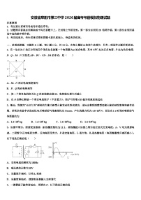 安徽省阜阳市第三中学2026届高考考前模拟物理试题含解析
