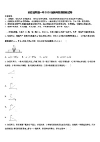 安徽省阜阳一中2026届高考物理四模试卷含解析