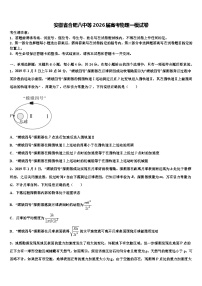 安徽省合肥八中等2026届高考物理一模试卷含解析