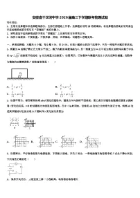 安徽省干汊河中学2026届高三下学期联考物理试题含解析