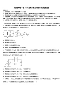 安徽省阜阳一中2026届高三第五次模拟考试物理试卷含解析