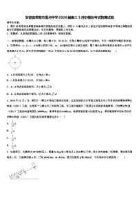 安徽省阜阳市重点中学2026届高三3月份模拟考试物理试题含解析