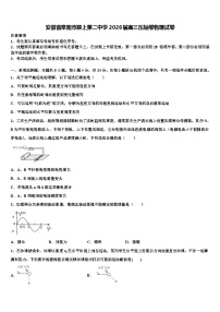 安徽省阜阳市颍上第二中学2026届高三压轴卷物理试卷含解析