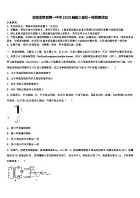 安徽省阜阳第一中学2026届高三最后一模物理试题含解析