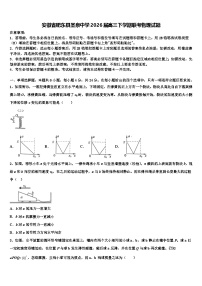 安徽省肥东县圣泉中学2026届高三下学期联考物理试题含解析