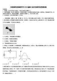 安徽省肥东县高级中学2026届高三适应性调研考试物理试题含解析