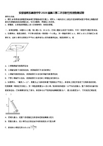安徽省肥东高级中学2026届高三第二次诊断性检测物理试卷含解析