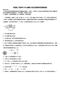 安徽省二校联考2026届高三适应性调研考试物理试题含解析