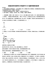安徽省合肥市安徽师范大学附属中学2026届高考物理五模试卷含解析