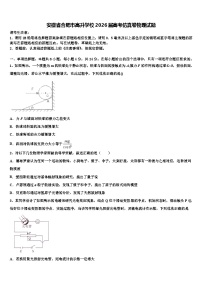 安徽省合肥市高升学校2026届高考仿真卷物理试题含解析