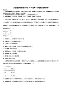 安徽省合肥市高升学校2026届高三冲刺模拟物理试卷含解析
