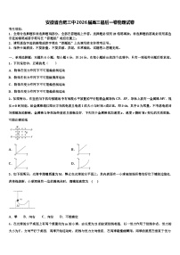 安徽省合肥三中2026届高三最后一卷物理试卷含解析