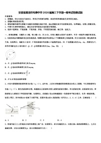 安徽省巢湖市柘皋中学2026届高三下学期一模考试物理试题含解析