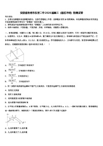 安徽省池州市东至二中2026届高三（最后冲刺）物理试卷含解析