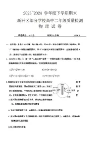 湖北省武汉市新洲区部分学校2025届新高三上学期6月期末质量检测物理试卷及答案