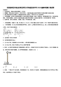 安徽省淮北市相山区淮北师范大学附属实验中学2026届高考物理三模试卷含解析