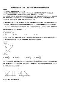 安徽省合肥一中、六中、八中2026届高考冲刺物理模拟试题含解析