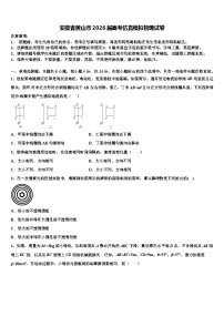 安徽省黄山市2026届高考仿真模拟物理试卷含解析