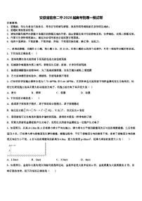 安徽省临泉二中2026届高考物理一模试卷含解析
