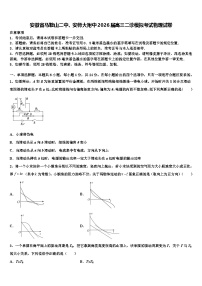 安徽省马鞍山二中、安师大附中2026届高三二诊模拟考试物理试卷含解析