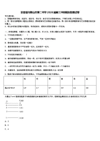 安徽省马鞍山市第二中学2026届高三冲刺模拟物理试卷含解析