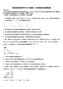 安徽省舒城桃溪中学2026届高三3月份模拟考试物理试题含解析