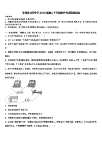 安徽省示范中学2026届高三下学期联合考试物理试题含解析