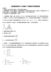 安徽省舒城桃溪2026届高三下学期联合考试物理试题含解析