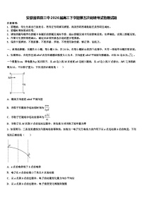 安徽省泗县三中2026届高三下学期第五次调研考试物理试题含解析
