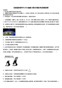 安徽省舒城中学2026届高三第五次模拟考试物理试卷含解析