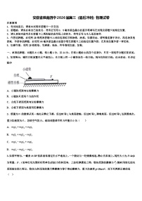 安徽省淮南四中2026届高三（最后冲刺）物理试卷含解析