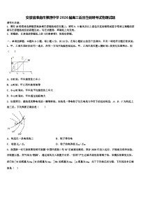 安徽省淮南市第四中学2026届高三适应性调研考试物理试题含解析