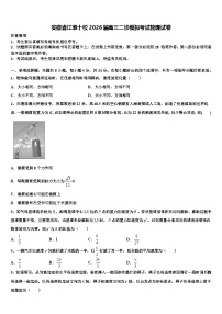 安徽省江淮十校2026届高三二诊模拟考试物理试卷含解析