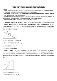 安徽省合肥中学2026届高三适应性调研考试物理试题含解析