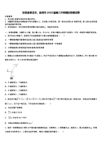 安徽省淮北市、宿州市2026届高三冲刺模拟物理试卷含解析
