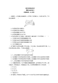 2020-2021学年【新教材】人教版（2019）高中物理必修一第三章 相互作用—力 第2节同步练习
