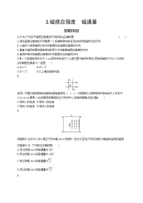 高中物理人教版 (2019)必修 第三册2 磁感应强度 磁通量当堂达标检测题