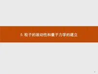 高中物理人教版 (2019)选择性必修 第三册5 粒子的波动性和量子力学的建立教课内容课件ppt
