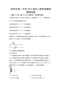 2021届江苏省徐州市第一中学高三下学期4月模拟预测卷物理试题