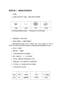 新教材2022届新高考化学人教版一轮课时作业：3　物质的分类及转化
