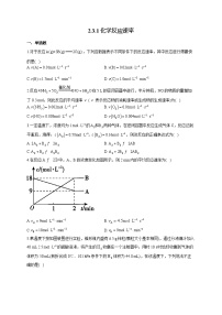 2020-2021学年第3节 化学反应的速率达标测试