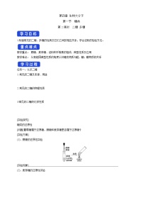 高中化学人教版 (2019)选择性必修3第一节 糖类导学案