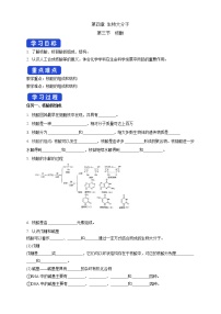 人教版 (2019)选择性必修3第三节 核酸导学案