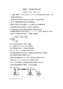 专题六 非金属及其化合物-2022届高三高考化学复习专项训练（含解析）