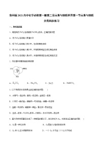 2021学年第1节 元素与物质分类达标测试